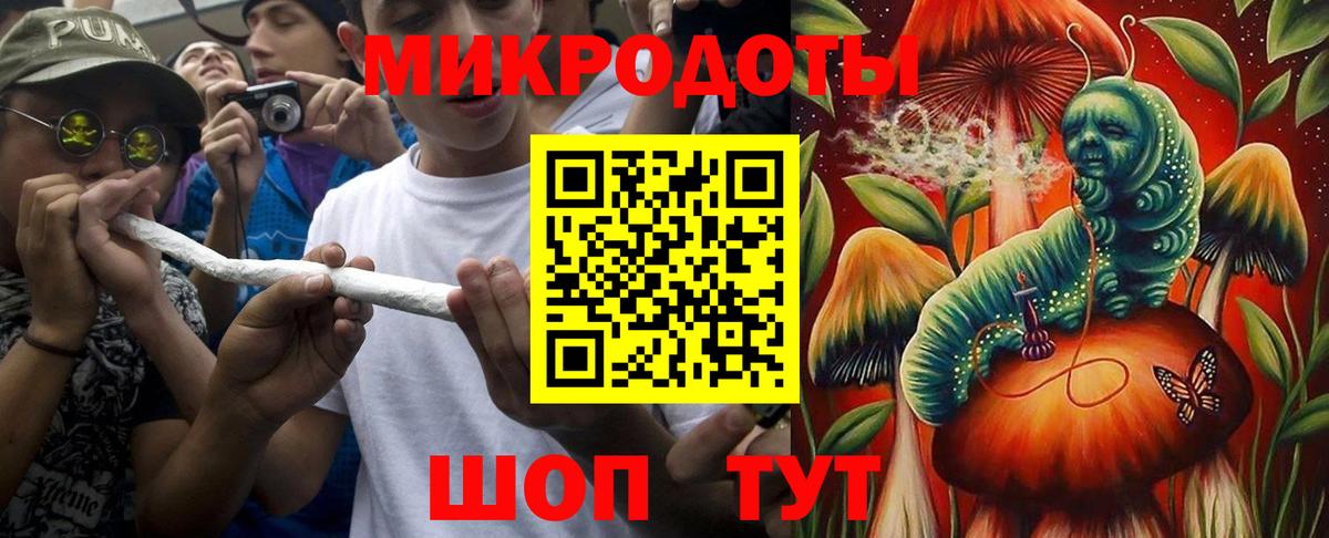 Псилоцибиновые грибы мицелий Карасук