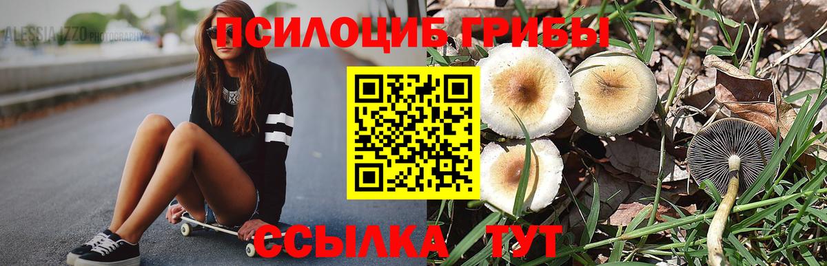 Псилоцибиновые грибы прущие грибы  Вход с VPN  где купить наркоту  Карасук 